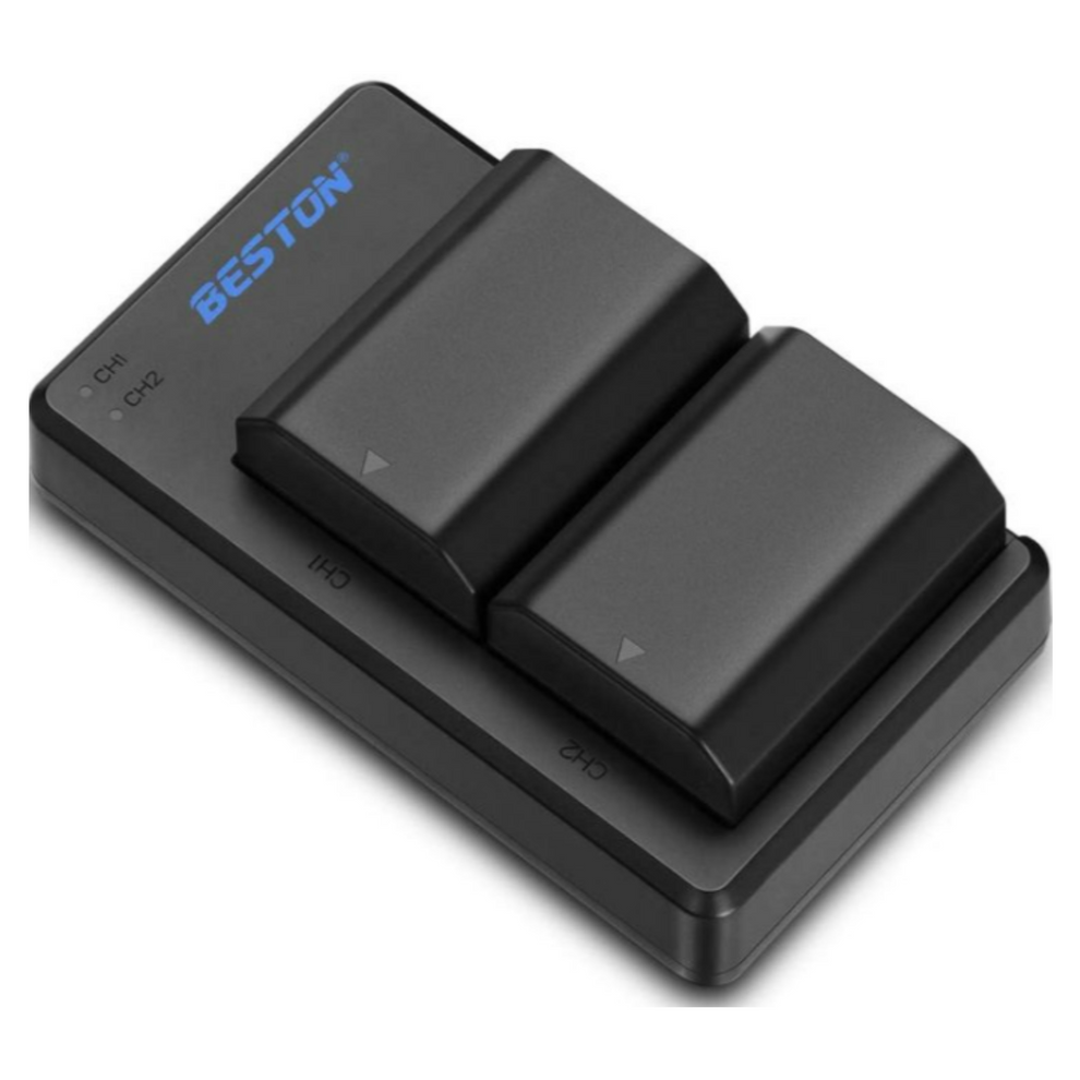 Beston USB Twin Charger and 2 Battery Kit for Sony NP-FZ100 – High ...